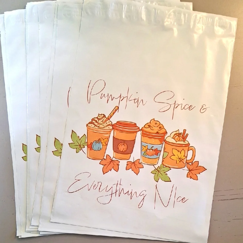 15 Pumpkin Spice & Everything Nice Poly Mailers